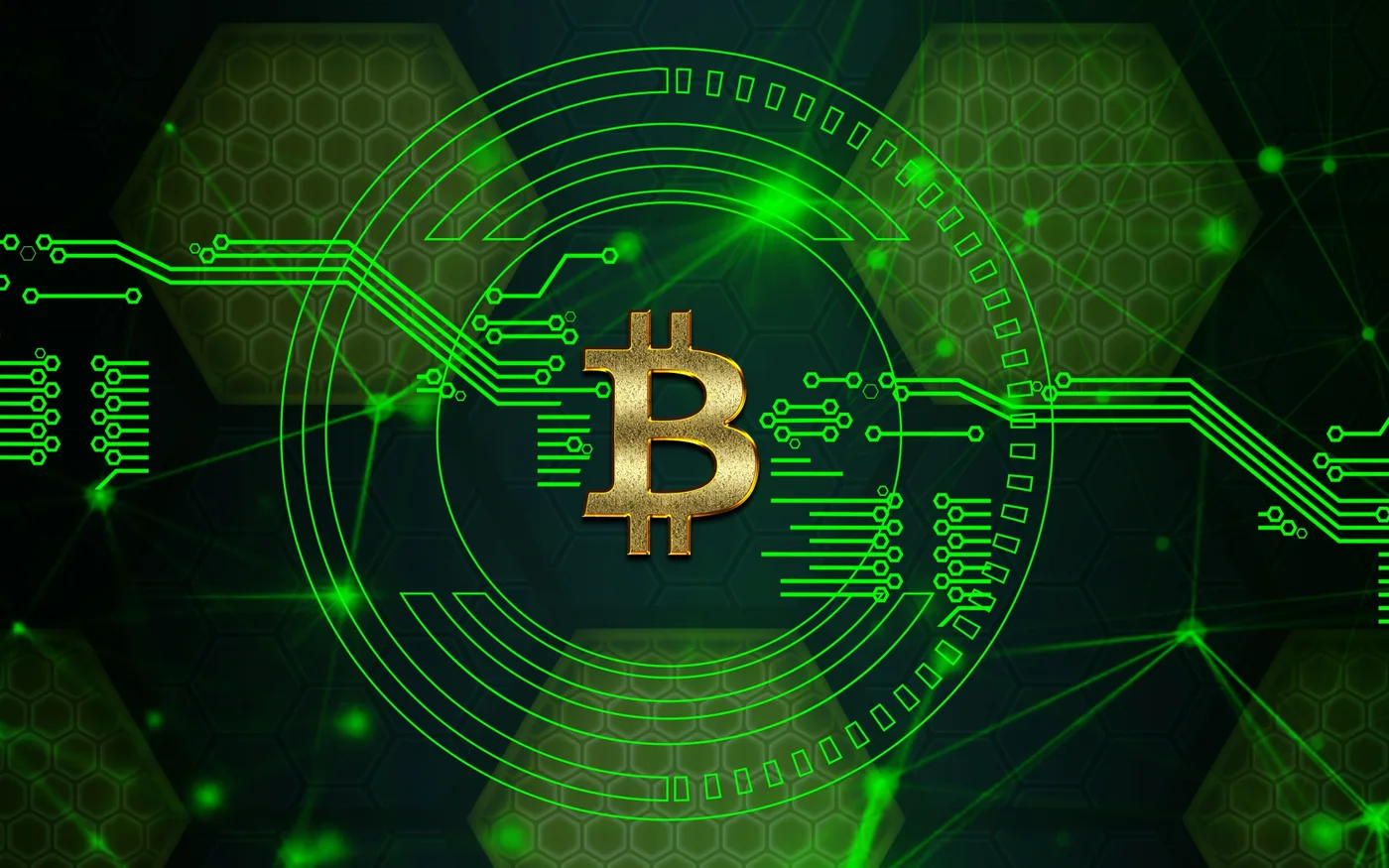 区块链网络